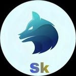 sk_stor6 profile picture