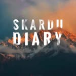 skardudiary profile picture