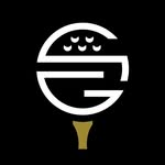 skinnygolf profile picture