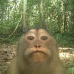 skint_cherub profile picture