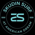 skudinsurfad profile picture