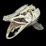 skullatorium profile picture