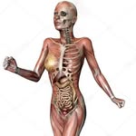 skullsqwat profile picture