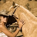 skydogsanctuary profile picture