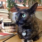 skylightbooks profile picture