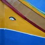 skylinepigeon_ profile picture