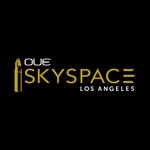 skyspacela profile picture