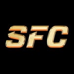 slapfightingchampionship profile picture