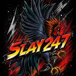 slay247.co profile picture