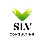 slv.consulting profile picture