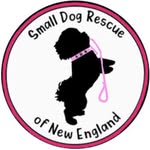 smalldogrescuene profile picture