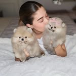 smalltopdogs_mariat profile picture