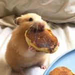 smol.posts profile picture