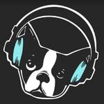 snarkypuppy profile picture