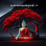 sne_hakumari01 profile picture