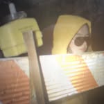 snowstrippers profile picture