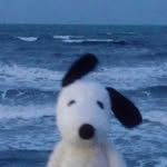 snsj.knj profile picture
