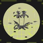 sntgvvs profile picture
