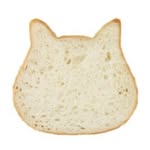 snugf profile picture