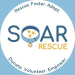 soarescue_tn profile picture