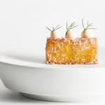 socialhospitalitygroup profile picture