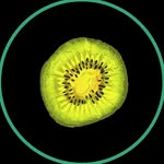 socialkiwi.media profile picture