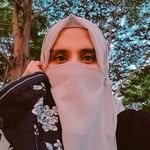 social__maida profile picture