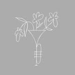 soe.cafe profile picture