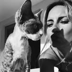 sofia.arias profile picture