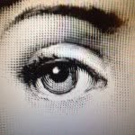 sofia.slucas profile picture