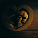 sofiaboriosi profile picture