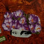 sofiacaumo.psi profile picture