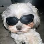 sofifasz profile picture