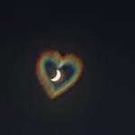 softeningsayings profile picture