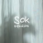 sokstudios.in profile picture