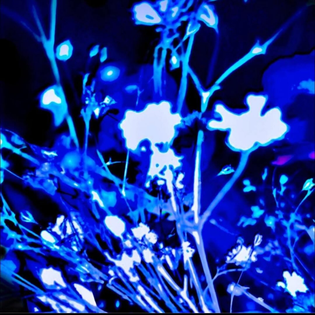 solaris_infinity profile picture