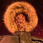 soldierboyfriend profile picture