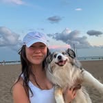 solieanderin profile picture