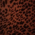 solomon_fantastico profile picture