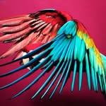 solvesundsbostudio profile picture