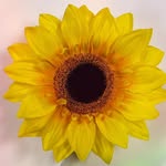 someplaceinthemiddlemovie profile picture