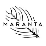 somosmaranta profile picture
