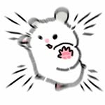 son_alitz profile picture