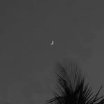 song_hindi_song_b profile picture