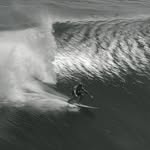 sonsofthewave profile picture