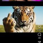 sonu_patel___7814 profile picture