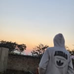 sonuxlyrics._ profile picture