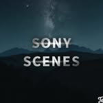 sonyscenes profile picture