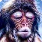 sophialamarnyc profile picture