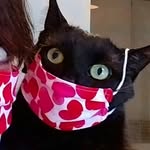 sophie_the_model profile picture